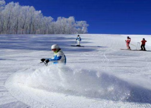 國務院辦公廳關于以冰雪運動高質量發展激發冰雪經濟活力的若干意見