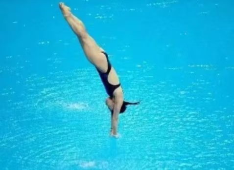 世界杯跳水錦標(biāo)賽